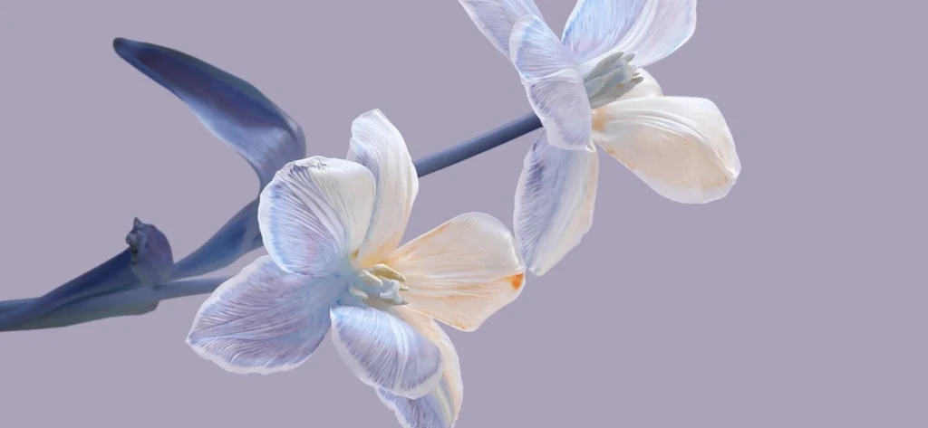 séance kinésiologie